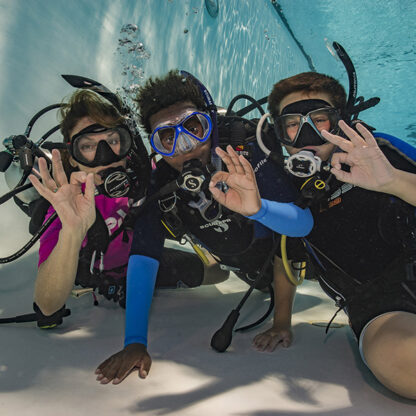 Discover Scuba Diving Program - Image 6