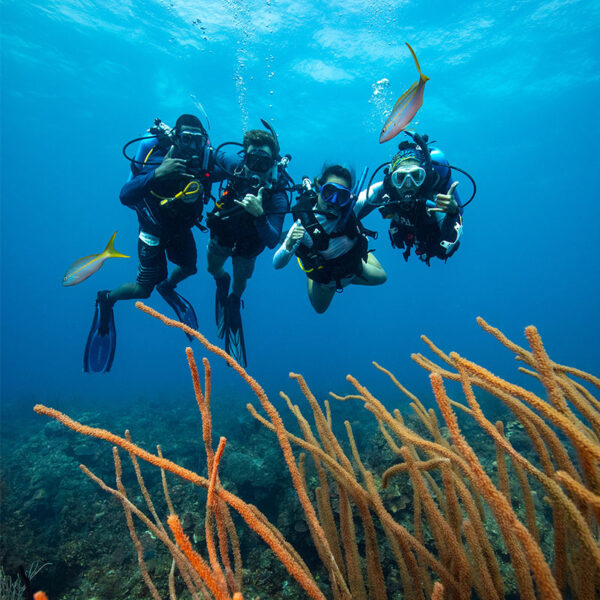 Advanced Open Water - Image 4