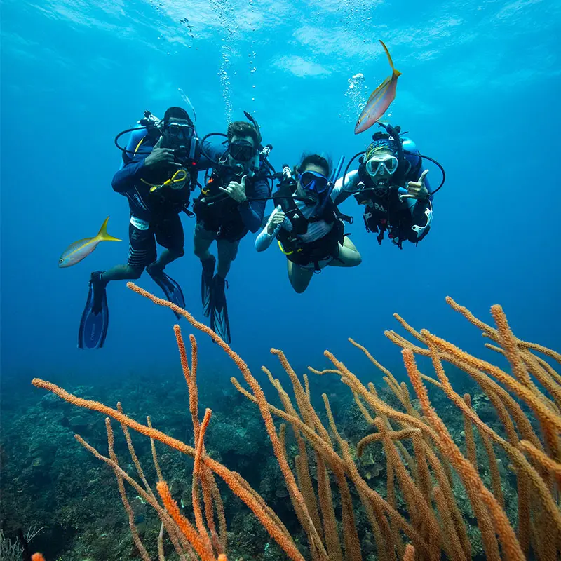 advanced diver course in eilat
