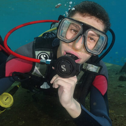 Introductory Dive - Image 3