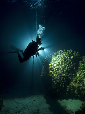 Night Diver