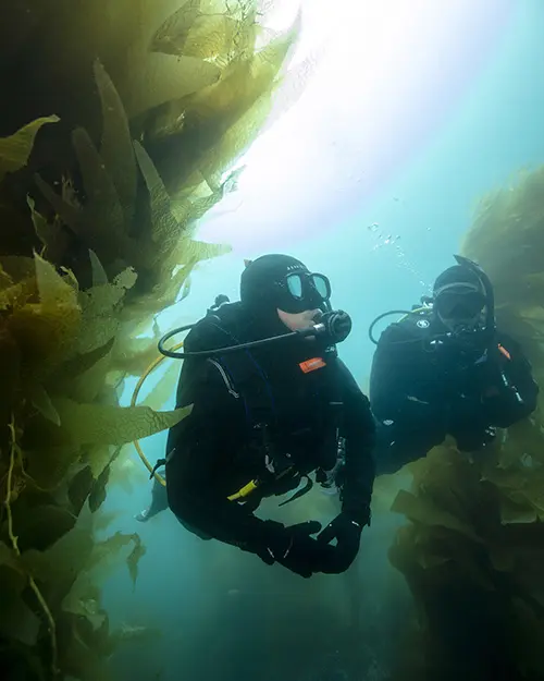 peak performance buoyancy