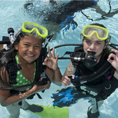 Discover Scuba Diving Program - Image 4