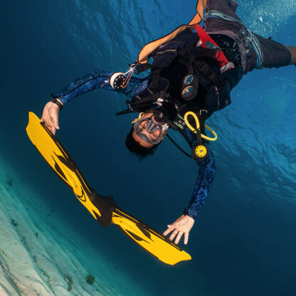 Discover Scuba Diving Program - Image 3