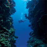 deep diver course