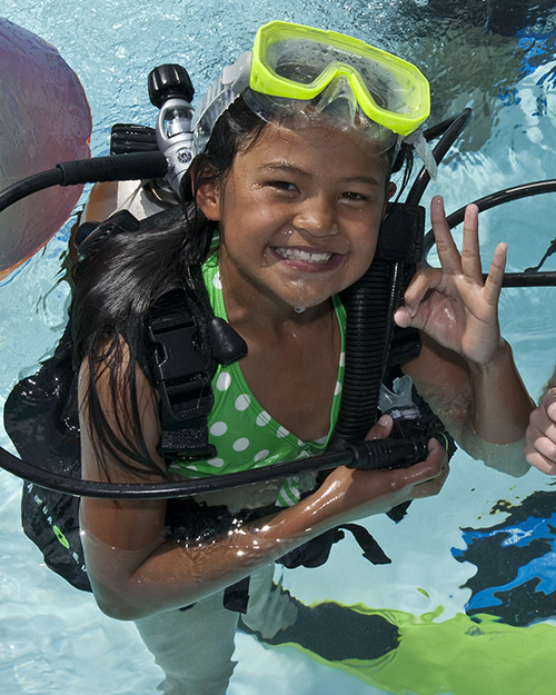 צלילת חוויה באילת