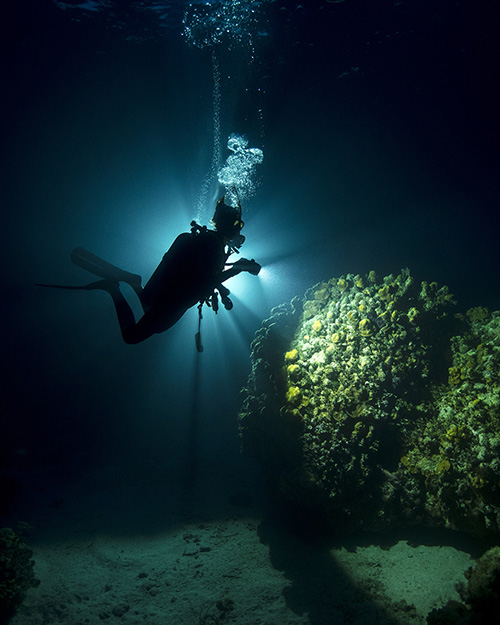 קורס ‏צולל לילה באילת