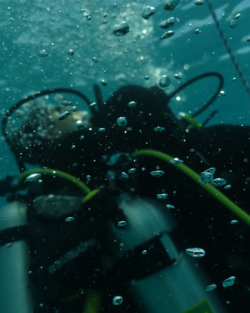 קורס צולל הצלה באילת
